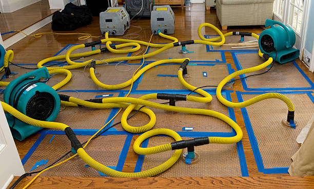 Professional Burst Pipe Water Damage technician working in Ashland, PA